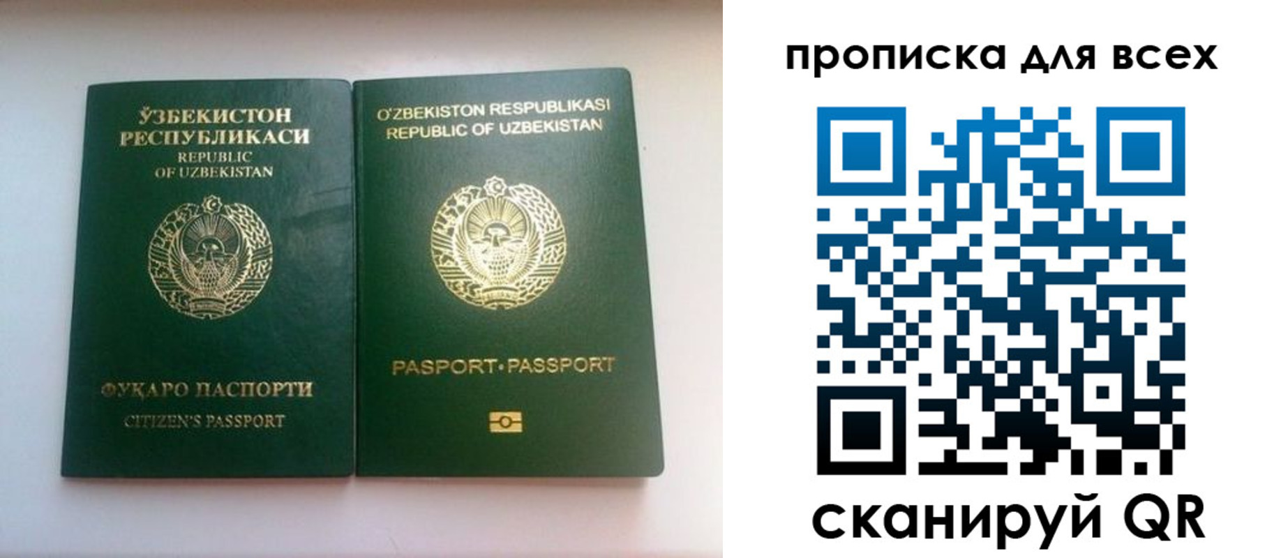прописка для школы в Казани